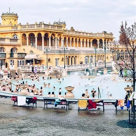 Discover Your Retreat-walk To Downtown